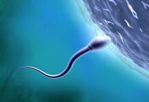 Космічний секс і наука: Чому репродуктивне здоров’я в космосі сьогодні має значення