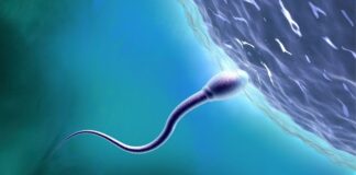 Space Sex and Science: Why Reproductive Health in Orbit Matters Now