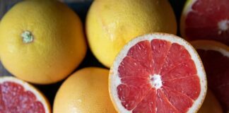 Toranja editada por CRISPR: um sabor amargo do futuro?