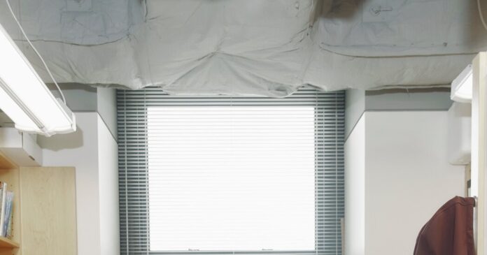 050c3400-1f85-4e87-8e1a-d55336941c17