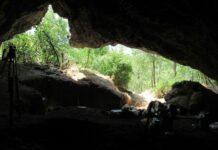 Колапс Неандертальців: Однією Лінії Вижити Європейській Останній Льодовикової Епосі