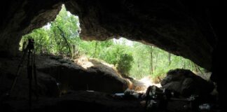 Effondrement de Néandertal : une seule lignée a survécu à la dernière glaciation de l’Europe