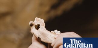 Ancient Bond: Dog-Human Relationship Dates Back 15,000 Years