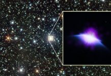 Виявлено Першу “Астросферу” Навколо Сонцеподібної Зірки