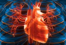 Pequeños cambios diarios reducen significativamente el riesgo de ataque cardíaco y accidente cerebrovascular