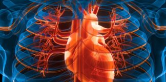 Pequeños cambios diarios reducen significativamente el riesgo de ataque cardíaco y accidente cerebrovascular