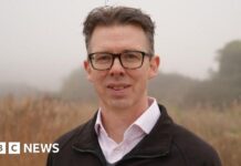 Norfolk Wildlife Trust erweitert Naturschutzbemühungen mit neuem Reservat