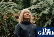 Los bosques como comunidades: Suzanne Simard sobre los ecosistemas inteligentes y la resistencia científica