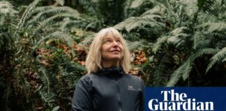 Foreste come comunità: Suzanne Simard su ecosistemi intelligenti e resistenza scientifica