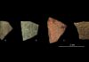 Ancient Eggshells Reveal Surprisingly Advanced Geometry in 60,000-Year-Old Humans