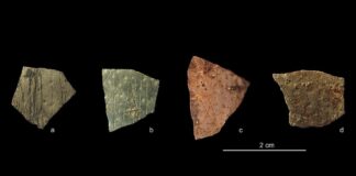 Древние Яйца Раскрывают Удивительно Продвинутую Геометрию у 60-Тысячелетних Людей