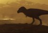 Descoberta de fósseis desafia as origens do Tiranossauro Rex