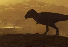 Відкриття Скам’янілості Ставить Під Питання Походження Тиранозавра Рекса