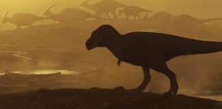 La scoperta dei fossili sfida le origini del Tyrannosaurus Rex