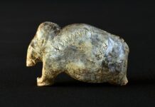 Палеолітичні Люди Розвинули Попередники Листи 40 000 Років Назад, Виявили Вчені