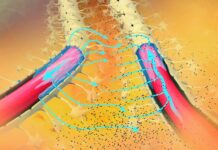 Мозковий Природний Механізм Очищення Посилений для Націлювання на Білки При Альцгеймері