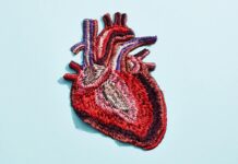 Нові Рекомендації щодо Серцево-Судинних Захворювань: Раннє Перевірка Холестерину та Активне Лікування