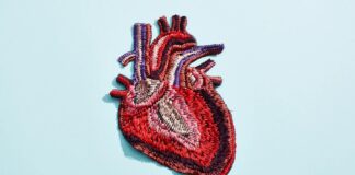 Nuevas pautas para el corazón: pruebas tempranas de colesterol y tratamiento proactivo