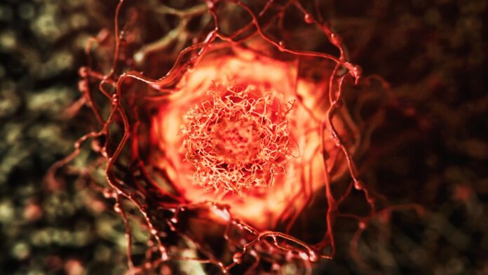 af1bf3a4-ed0f-4a6e-8414-9ef613da867c