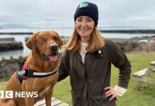 Rathlin Island Declared Ferret-Free: A Conservation Success Story