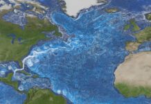 Зсув Гольфстріму: Сигнал про Потенційний Колапс Океанічних Течій