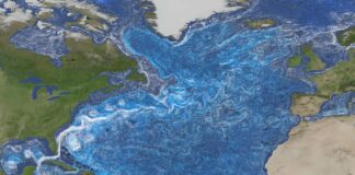 Le changement du Gulf Stream signale un effondrement potentiel du courant océanique
