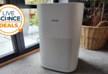 Повітряний Очищувач Levoit Core 600S-P: Знижка 20% у Walmart та Amazon