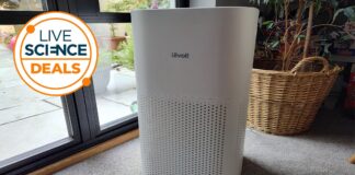 Pembersih Udara Levoit Core 600S-P: Diskon 20% di Walmart dan Amazon