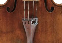 Кільця Дерев Вказують на Походження Скрипок Страдіварі з Північної Італії