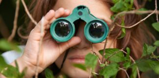 Observación de aves vinculada a una mejor salud cerebral y resiliencia cognitiva