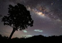 Небесне шоу: як спостерігати небо під час молодика у квітні 2026 року