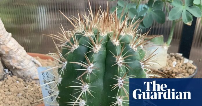 23fba084-31d6-44d9-b347-d327fb7f997d