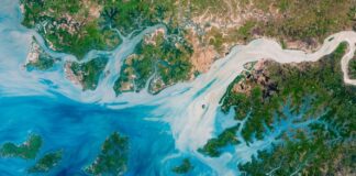 The Dimming Deep: Mengapa Lautan di Dunia Semakin Gelap