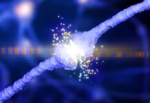 Нове Дослідження Об’єднує Ключові Білки Альцгеймера, Пропонуючи Новий Шлях Лікування