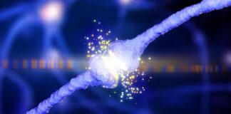 Новое Исследование Объединяет Ключевые Белки Альцгеймера, Предлагая Новый Путь Лечения