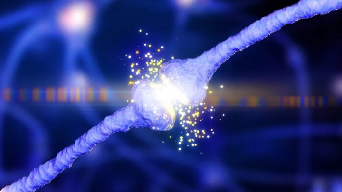 3b2307e6-0015-44aa-b475-c45c2c880a3b