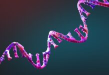 Малий крок для РНК, гігантський стрибок для розуміння походження життя