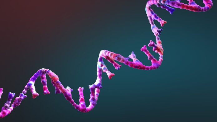 448acc34-bc48-405b-a34a-37fd4d0001c1