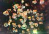 Diamantes minúsculos: por que gemas ultrapequenas perdem sua famosa dureza