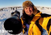 Легендарний документаліст про дику природу Даг Аллан помер у Непалі