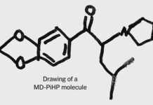 Епоха одиночних дилерів: як глобалізація хімії змінює наркоторгівлю