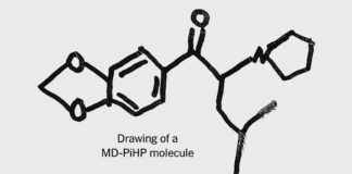 Эпоха одиночных дилеров: как глобализация химии меняет наркоторговлю
