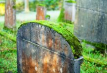 Як крихітний клаптик моху розкрив масштабну змову грабіжників могил