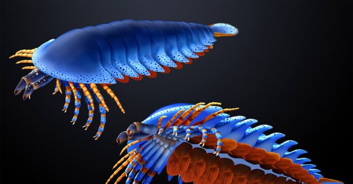 b08558c8-5bb7-4536-8fc4-1bfdb5b9c407