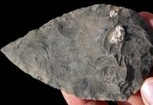 Життя і смерть у стародавній ефіопській савані: нові дані з Халібі