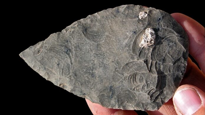 b812b7f3-7a72-40ac-989a-8674e114c1f8