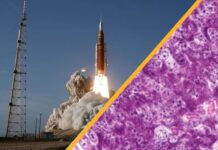 Великі Наукові Прориви: Місячна Місія, Лікування Діабету та Кліматичні Наслідки