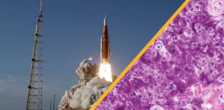 Principais avanços científicos: missão lunar, cura do diabetes e impactos climáticos