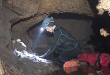 «Це вразило мене»: давно втрачена екосистема льодовикового періоду, включаючи скам’янілості броненосця розміром із лева та гігантського наземного лінивця, виявлені у «водяній печері» Техасу