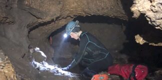 Древняя Экосистема, Обнаруженная в Техасской Пещере, Раскрывает Тайны Ледникового Периода